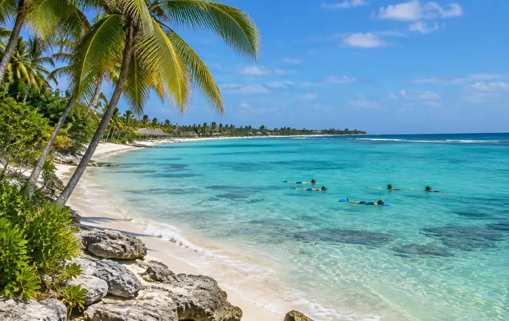 Palm-lined Akumal beach with calm turquoise water and snorkelers floating offshore