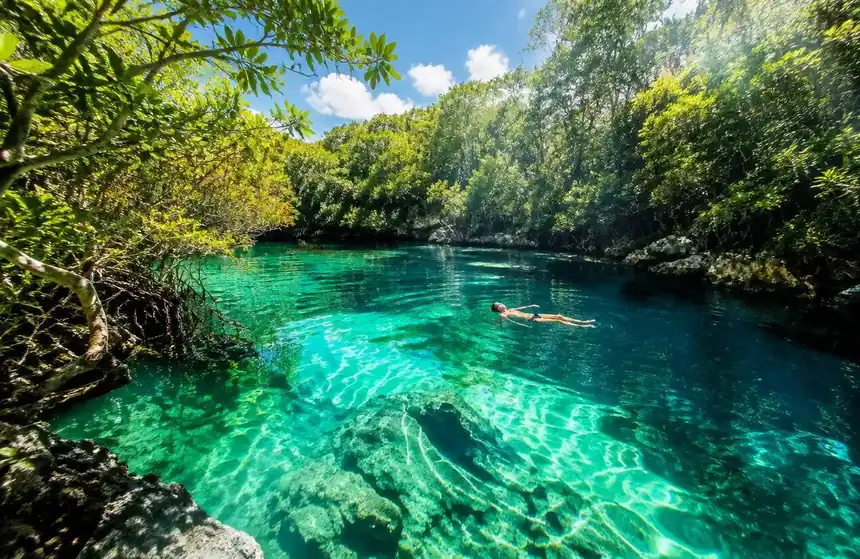 Swimmer floating in a clear turquoise open cenote surrounded by jungle near Tulum (illustrative image)